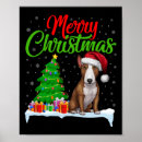 Search for christmas tree lights posters Funny