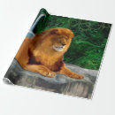 Search for waterfalls wrapping paper Beautiful