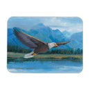 Recherche de aigles magnets Animaux