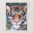 Recherche de chat tigre posters Verdure
