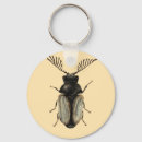 Search for entomology keychains Insect