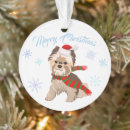 Search for yorkie ornaments Winter
