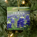 Search for texas bluebonnet ornaments Floral