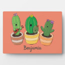 Recherche de cactus plaques Mignon