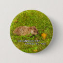 Recherche de nouvelles badges Jour