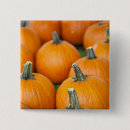 Recherche de gourde badges Automne