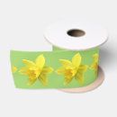 Search for daffodil ribbon Yellow flowers
