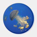 Search for blue fish magnets Sealife