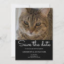 Search for funny pet save the dates Cute