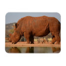 Recherche de boue magnets Animal
