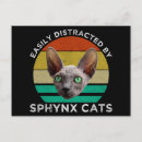 Recherche de sphynx cartes postales Amoureux des chats