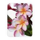 Recherche de fleurit magnets Tropical