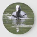 Search for black and white bird clocks Cute