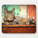 Search for green eyes electronics Tiger