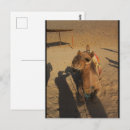 Recherche de seance cartes postales Toute personne