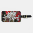 Recherche de edelweiss accessoires Montagnes