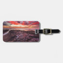 Search for tide pool accessories California