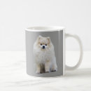 Search for pom dog drinkware Poms