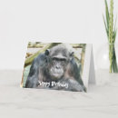 Search for chimpanzee cards Cute