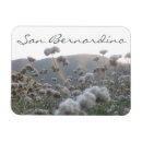 Search for bernardino magnets California