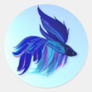 Search for freshwater fish stickers Betta