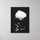 Search for black and white rose canvas prints Flower