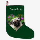 Recherche de puppys chaussette de noël Chien