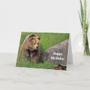 Search for brown bear cards Wildlife