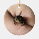 Search for toad ornaments Cute