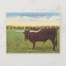 Search for steering postcards Farm