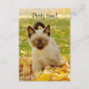 Search for pet at a time invitations Party