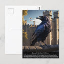 Recherche de le corbeau cartes postales Oiseau