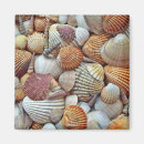 Recherche de palourde magnets Plage