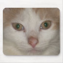 Search for facing mousepads White