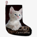 Recherche de cat christmas stockings Amoureux des chats