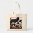 Recherche de neuve sacs Dog