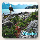 Search for eagle coasters Alaska