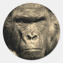 Search for gorillas stickers Wild animal