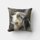 Search for australian shepherd pillows Cute