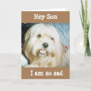 Search for lhasa apso cards Veterinarian