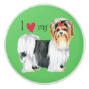 Search for biewer terrier Small dog