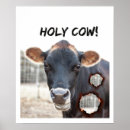 Search for funny cow art Animal