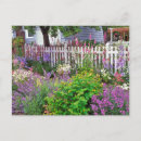 Search for blue bell flower postcards Flora