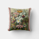 Recherche de ernst coussins Haeckel