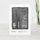 Search for elephant cards Age is irrelephant