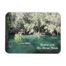 Search for blue springs magnets Animals