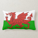 Search for welsh dragon pillows Flag