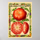 Recherche de légume posters Tomates