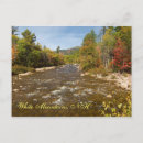 Search for two horizontal postcards Scenic