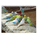 Search for budgie bird office supplies Nature